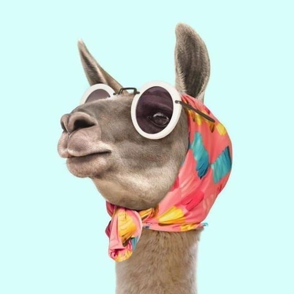 Meet your Posher, Marie - Picture 1 of 1